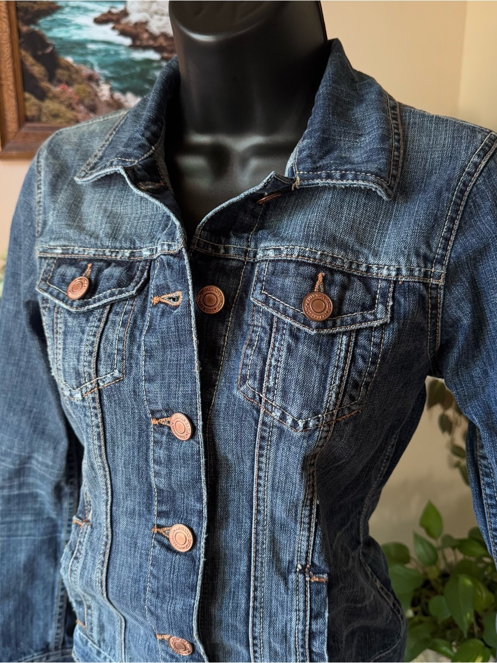American Eagle Outfitters Dark Blue Denim Jacket